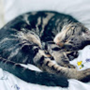 Meet your Posher, Ella